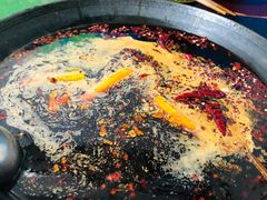 -星鸿社重庆老火锅