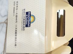 -长沙小天鹅戴斯酒店