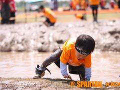 -春花秋色城市公园