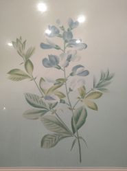 -颜蕾医美·黄金微针·水光·玻尿酸·超声炮·抗衰中心