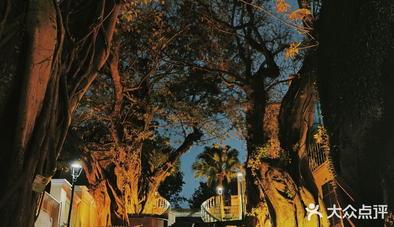 像是走进了港片里的场景！澳门这里夜景太惊艳