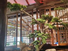 -黄泥岗·黄陂农家菜(百步亭店)