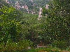 -大连天门山国家森林公园