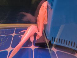 -铂诗玥医美