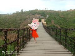 -五龙城郊森林公园