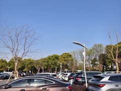 -闵行文化公园-停车场