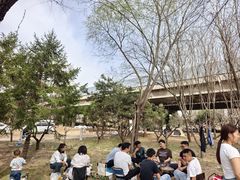 -兴安湖生态运动公园
