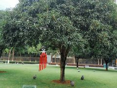 -重庆市江北嘴中央商务区中央公园