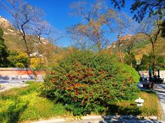 -青岛崂山太清宫