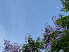 -重庆彩云湖湿地公园