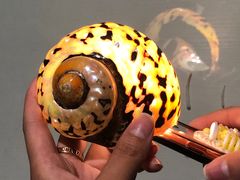 -青岛贝壳博物馆