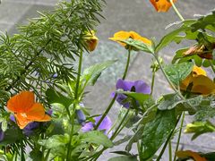 -Wagas沃歌斯(大学路店)