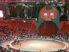 -俄罗斯国家大马戏团