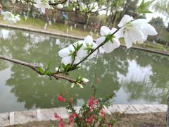 -交通大学（闵行校区）-第二餐饮大楼