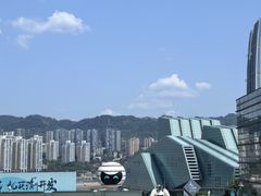 -重庆市江北嘴中央商务区中央公园
