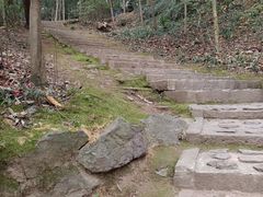 -上海佘山国家森林公园天马山园