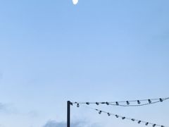 -1点点(新达汇三林店)