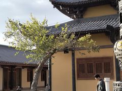 -外蒲山