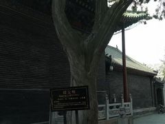 -关林