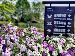-宁波杭州湾国家湿地公园