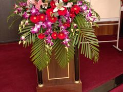 -金陵之星大酒店·中餐厅