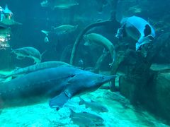 -华夏文旅海洋公园