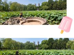 -堤角公园