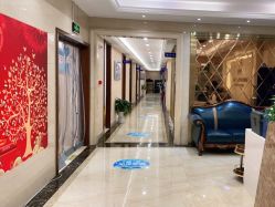 点击看大图 -碧莲盛·不剃发植发