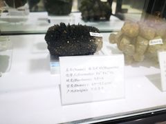 -中国第四纪冰川遗迹陈列馆