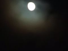 -朱家尖南沙景点