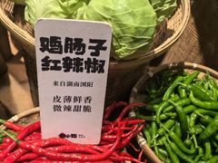 -田小狗的饭店(碧桂园店)