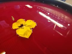 -渡娘火锅(大兴大悦春风里店)