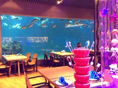 -海棠湾洲际-涛·海底餐厅·美人鱼·自助餐·海底隧道