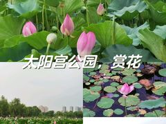 -太阳宫公园