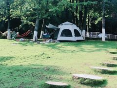 -铁山坪森林公园