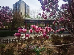 -丰台花园