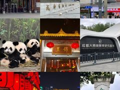 -成都动物园
