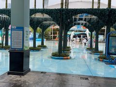 -海合安成都极地海洋公园