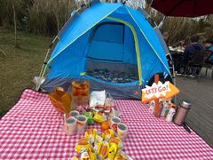 -桤木河湿地公园