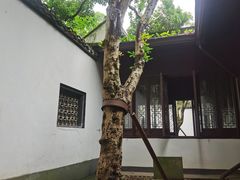 -上海醉白池公园