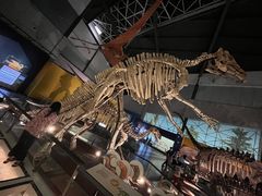 -湖南省地质博物馆