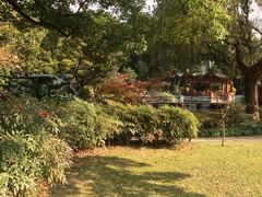 申粤轩-申粤轩酒楼·三十年粤菜经典(丁香花园店)