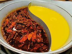 -青瓷火锅料理(西单大悦城店)