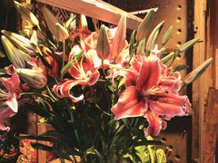 -在路上酒吧(大理古城店)