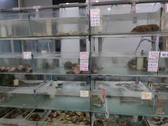 -春妮海味饭店