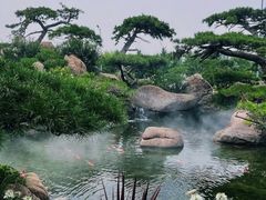 -罗红摄影艺术馆