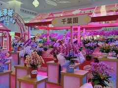-海港城