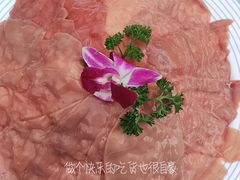 -悦见花开·花园里的火锅·露营·下午茶