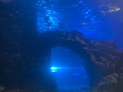 -太平洋海底世界