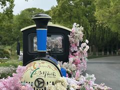-上海鲜花港